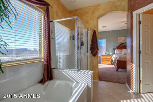 10119 E Lobo Ave, Mesa, AZ 85209 photo 28