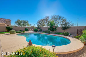 10119 E Lobo Ave, Mesa, AZ 85209 photo 37