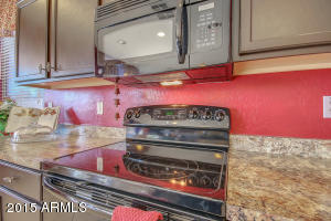 10119 E Lobo Ave, Mesa, AZ 85209 photo 10