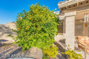 7645 E Portobello Ave, Mesa, AZ 85212 photo 41