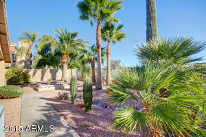 6343 E Redmont Dr, Mesa, AZ 85215 photo 24