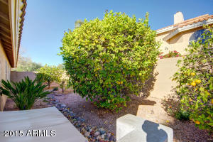 6343 E Redmont Dr, Mesa, AZ 85215 photo 20
