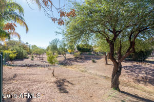 1282 N Jackson St, Gilbert, AZ 85233 photo 29