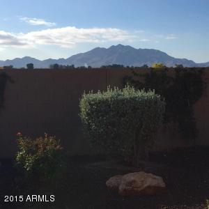 4673 E Blue Spruce Ln, Gilbert, AZ 85298 photo 23