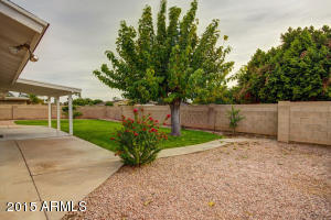 2337 Evergreen St, Mesa, AZ 85213 photo 32