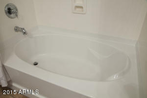 5850 S Simple Way, Gilbert, AZ 85298 photo 22