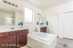 11149 E Starkey Ave, Mesa, AZ 85212 photo 12