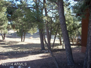 3595 Broken Arrow Rd, Overgaard, AZ 85933 photo 23