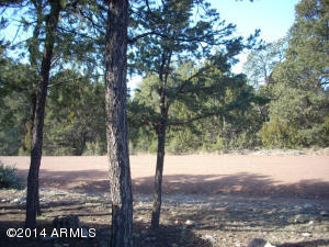 3595 Broken Arrow Rd, Overgaard, AZ 85933 photo 21
