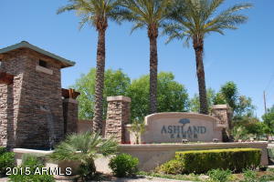 1297 Eli Ct, Gilbert, AZ 85295 photo 32
