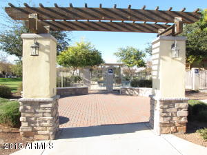 3338 E Windsor Dr, Gilbert, AZ 85296 photo 40