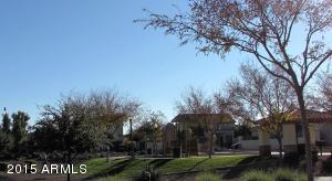 3338 E Windsor Dr, Gilbert, AZ 85296 photo 49