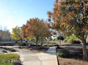 3338 E Windsor Dr, Gilbert, AZ 85296 photo 47
