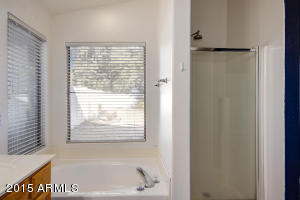 1752 E Saratoga St, Gilbert, AZ 85296 photo 21