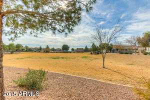 5326 W Odeum Ln, Phoenix, AZ 85043 photo 39