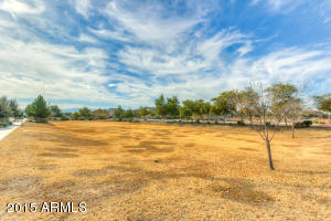 5326 W Odeum Ln, Phoenix, AZ 85043 photo 38