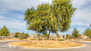 5326 W Odeum Ln, Phoenix, AZ 85043 photo 37