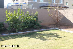 3919 E Morrison Ranch Pkwy, Gilbert, AZ 85296 photo 13