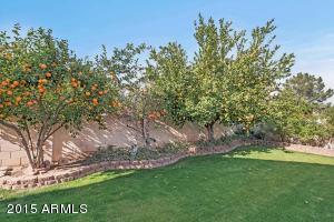 2062 E Appaloosa Rd, Gilbert, AZ 85296 photo 20