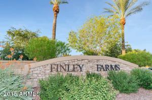 2062 E Appaloosa Rd, Gilbert, AZ 85296 photo 22