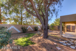 9511 E Naranja Ave, Mesa, AZ 85209 photo 20