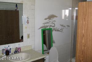 208 N Signal Butte Rd, Apache Junction, AZ 85120 photo 19