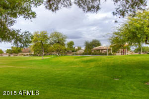3901 E Olive Ave, Gilbert, AZ 85234 photo 28