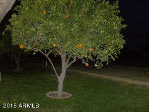 7726 E Park View Dr, Mesa, AZ 85208 photo 27