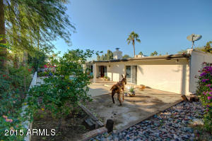 2017 E Orangewood Ave, Phoenix, AZ 85020 photo 40