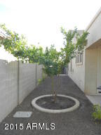 11420 E Sonrisa Ave, Mesa, AZ 85212 photo 33