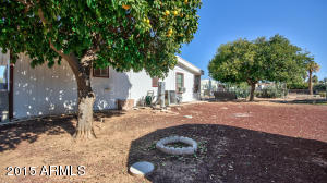 7331 E Jan Ave, Mesa, AZ 85209 photo 31