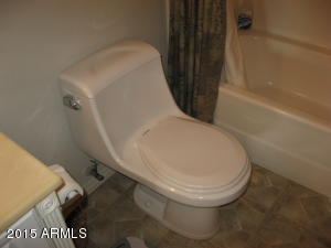 3270 S Goldfield Rd #413, Apache Junction, AZ 85119 photo 25