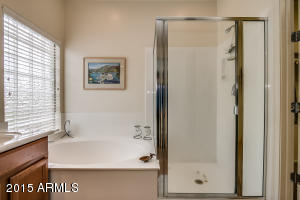 3664 E Palmer St, Gilbert, AZ 85298 photo 41