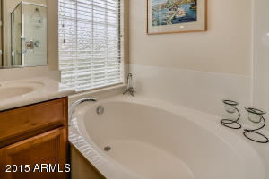 3664 E Palmer St, Gilbert, AZ 85298 photo 42