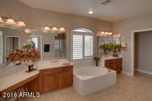 3171 E Marlene Dr, Gilbert, AZ 85296 photo 33