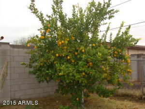 1625 E Kelton Ln, Phoenix, AZ 85022 photo 11