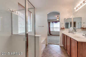 3580 E Coconino Way, Gilbert, AZ 85298 photo 18