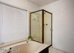 4325 E Janice Way, Phoenix, AZ 85032 photo 26