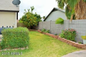 1262 E Wescott Dr, Phoenix, AZ 85024 photo 5