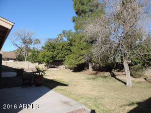 4428 E Sheena Dr, Phoenix, AZ 85032 photo 10