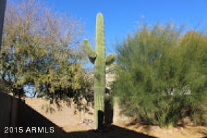 5910 E Nance St, Mesa, AZ 85215 photo 22