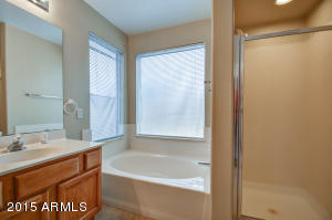 4843 E Harmony Ave, Mesa, AZ 85206 photo 20