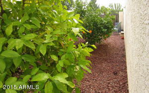 7006 E Jensen St #72, Mesa, AZ 85207 photo 27