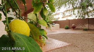 525 N Bluejay Dr, Gilbert, AZ 85234 photo 32