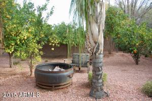 531 E Mary Ln, Gilbert, AZ 85295 photo 4