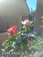 517 E Wescott Dr, Phoenix, AZ 85024 photo 5