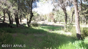 52945 E Harper Rd, Miami, AZ 85539 photo 4