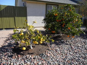 877 N Cortez Rd, Apache Junction, AZ 85119 photo 4