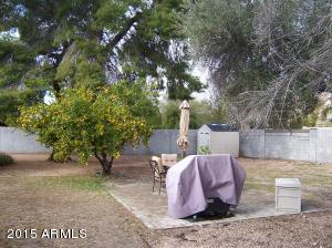 3132 E Acoma Dr, Phoenix, AZ 85032 photo 14