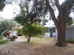 3132 E Acoma Dr, Phoenix, AZ 85032 photo 16